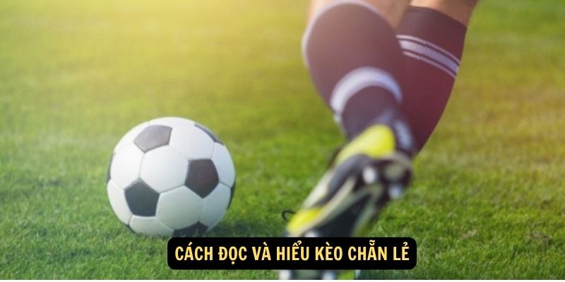 FUN88 - Kèo chẵn lẻ là gì, cách bắt kèo như dân chuyên 6 Cách đọc và hiểu kèo chẵn lẻ