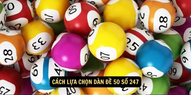 Fun88 - Dàn đề 50 số 247 và cách soi cầu xổ số từ chuyên gia 5 Cách lựa chọn dàn đề 50 số 247
