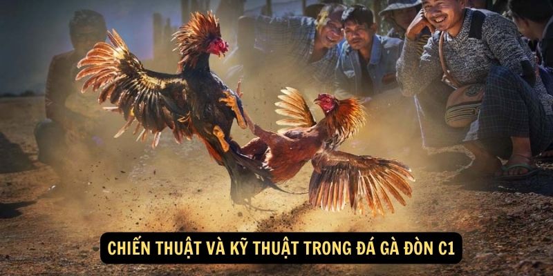 Đá gà đòn C1 FUN88: Cách nhận biết " Vua lỳ đòn" 2024 6 Chiến thuật và kỹ thuật trong đá gà đòn C1