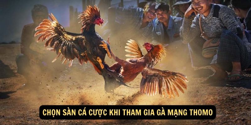 Gà mạng thomo FUN88: Kịch Tính, Hồi Hộp Từng Giây Phút 6 Chọn sàn cá cược khi tham gia gà mạng thomo