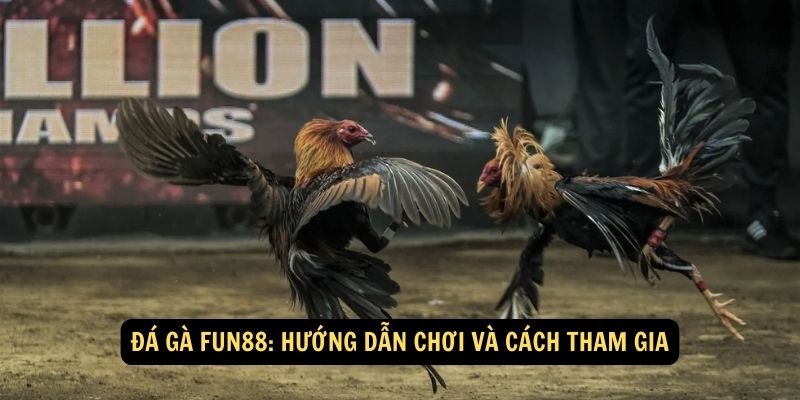 Đá gà FUN88:Hướng dẫn chơi đá gà FUN88 1 Đá gà FUN88: Hướng dẫn chơi và cách tham gia