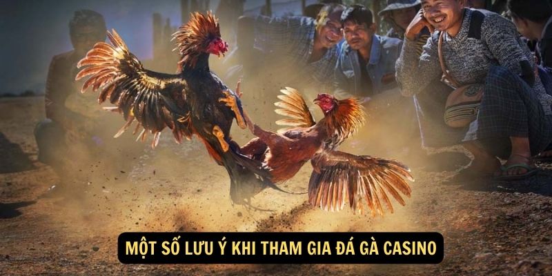 Đá gà casino FUN88: 3 Mẹo bắt kèo từ người chơi kinh nghiệm 6 Một số lưu ý khi tham gia đá gà casino
