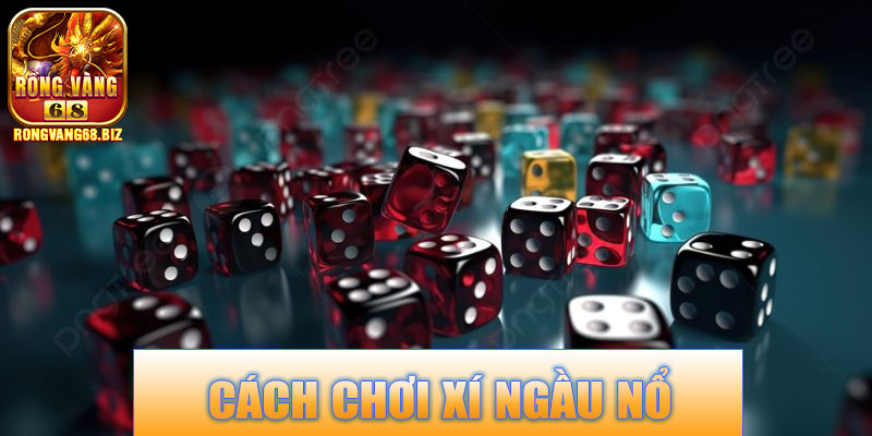 Cách Chơi Xí Ngầu Nổ Rongvang68 – Khám Phá Lối Chơi Bùng Nổ 8 Cách chơi cơ bản Xí Ngầu Nổ Rongvang68
