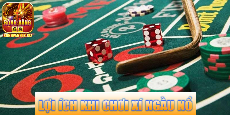 Cách Chơi Xí Ngầu Nổ Rongvang68 – Khám Phá Lối Chơi Bùng Nổ 6 Lợi ích khi chơi Xí Ngầu Nổ Rongvang68