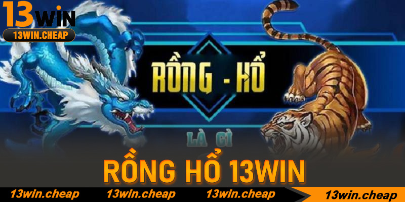 Phân tích tỷ lệ lợi nhuận của các cửa Rồng, Hổ và Hòa (Tie)